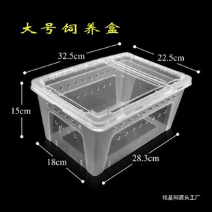 �����п ����^��С����WУС�̈́��﷿�ӸC͸�⎧����B�����