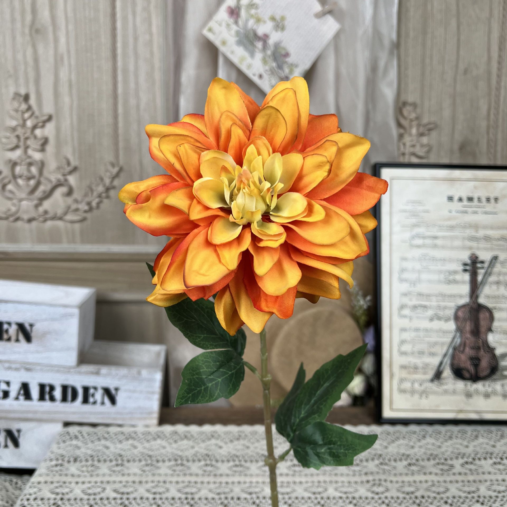 TY-싱글 더치 달리아-오렌지