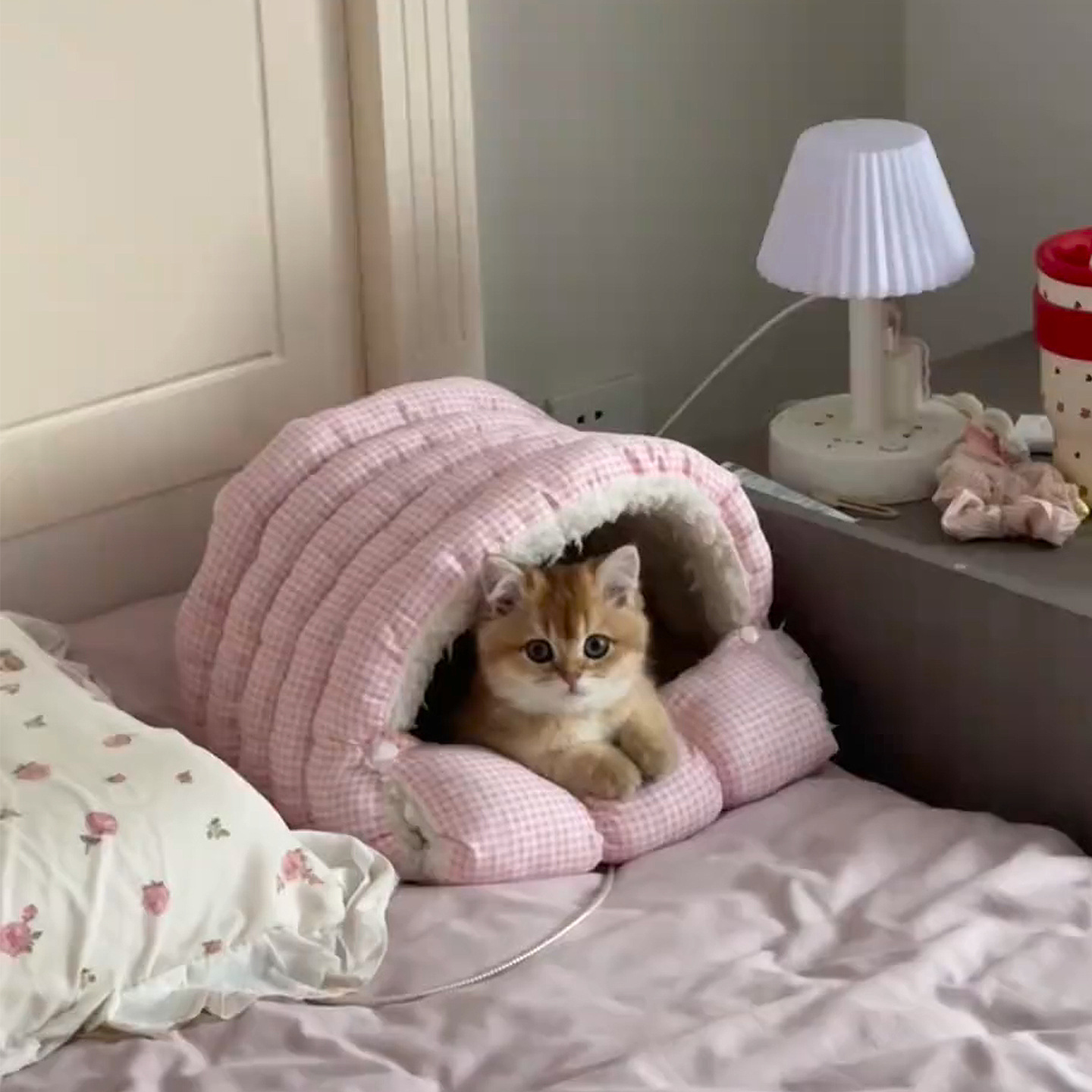 Panier fermé pour animaux de compagnie (chats et chiens) - Chaleur et sécurité en hiver - Style grotte confortable - Idéal pour les petites races_voghion.com