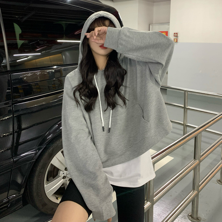 Kurze Kapuzenpulloverjacke - Blau