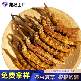 参类滋补品;鹿产品;灵芝