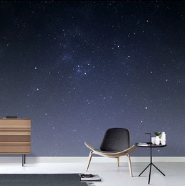 墙纸、壁纸;墙布