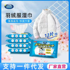 擦羽绒服清洁湿巾免水洗强力去污渍清洗羽绒服专用湿纸巾干洗