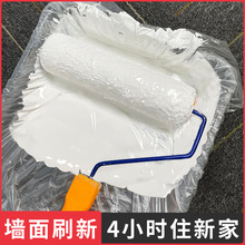 ˢ���ĉT�ϰ�ɫ����נ���Ƞ���ˢ�����z���҃��������a����СͰ