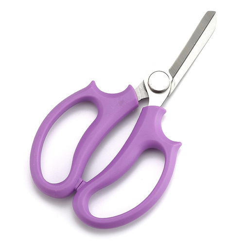 Fresh Garden Art Pruning Shears, Flower Art Scissors, Flower Insertion Pruning Shears, Home Flower Pruning Shears