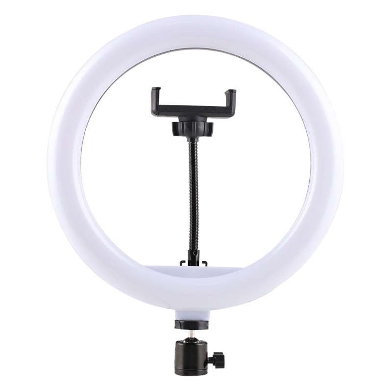 Internet celebridad Luz de relleno en vivo venta al por mayor 6 8 10 12 13 18 22 pulgadas belleza Luz de relleno 10 pulgadas Luz de relleno