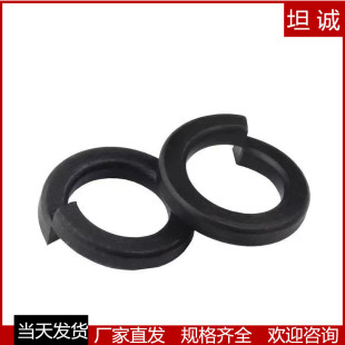 lߏȏɉ|ȦʹӺӲ12.9bԉ|Ȧ