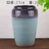 Violet Tao. Tight-mouthed light blue old pile