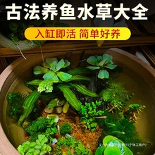 ŷ쾰ˮݾGոƼŹڸב˃ˮ|Gֲ~ˮ݌