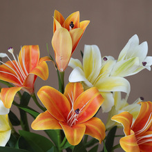 �羳3D�u׃�ָз���3�^����ٺ� �Ҿ�ӆ����Y���쾰���û��ļٻ�