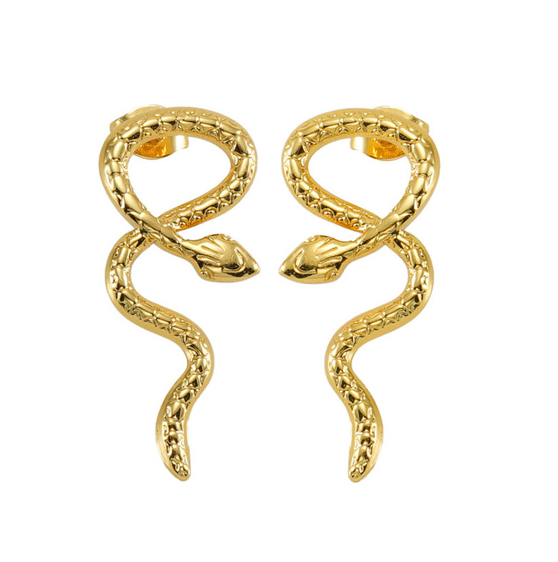 1 Paire Style Simple Style Classique Serpent Placage Acier Au Titane Boucles D'Oreilles display picture 4