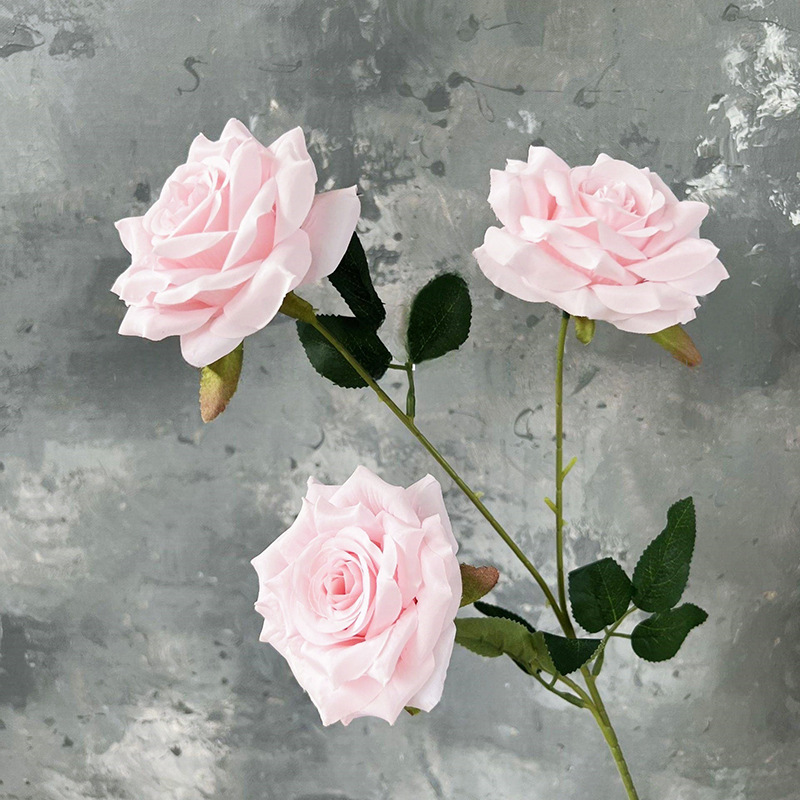 3헤드 다이아몬드 로즈-라이트 핑크