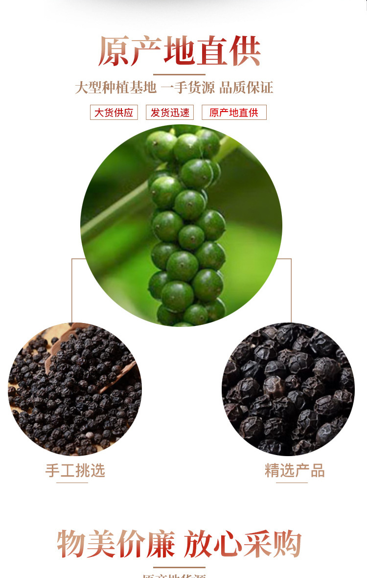 Black Pepper Whole Peppercorns Hu Jiao 500g Bulk Culinary Spice for Cooking and Seasoning key features