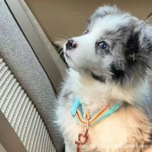 ���N߅������Ȯ������w���������Ȯ����Ȯ�o�lȮ����С�����l