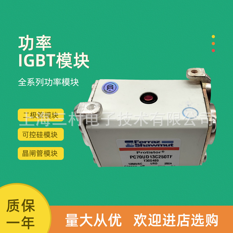 全新熔断器保险PC70GB69V200ESFH301307 PC70GB69V250ESF	J301308