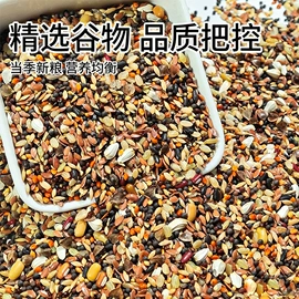 观赏鱼饲料;鸟食