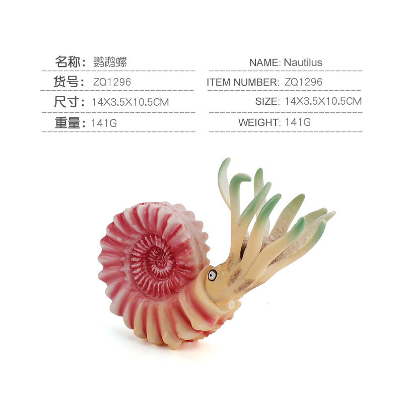 Simulación océano antiguo modelo biológico pescado de Deng loro tornillo crisantemo piedra decoración juguete transfronterizo Amazon