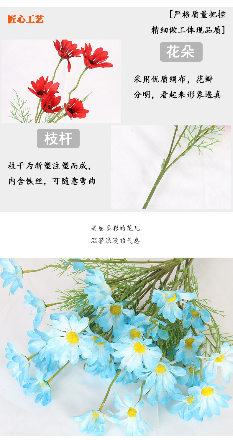 小雏菊_06.jpg