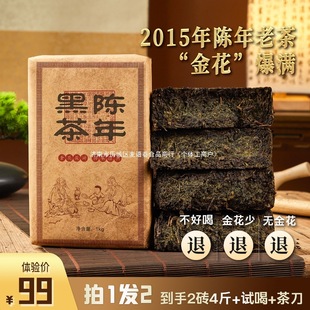 ����1�l2��2015����ϰ�������u�ڲ���������10���ϲ�