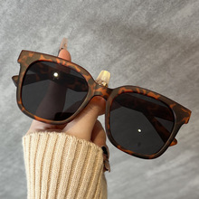 2024�¿�羳�n��GM�󷽿�ٴ��������⾀̫��R�͹���Ůshades