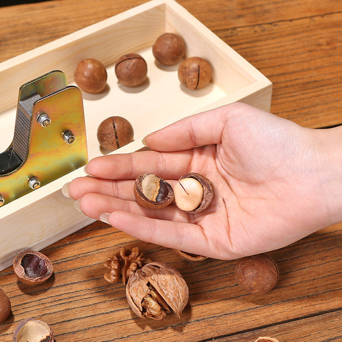 Macadamia nut opener, fresh macadamia nut, walnut shell opener, raw nut clamp, shell breaking machine, nut tool