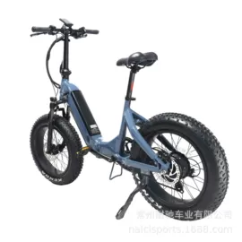 电动自行车;其他配件