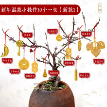 2026�����¿�lؔ����~�X����辰�Gֲ������b����҃�����