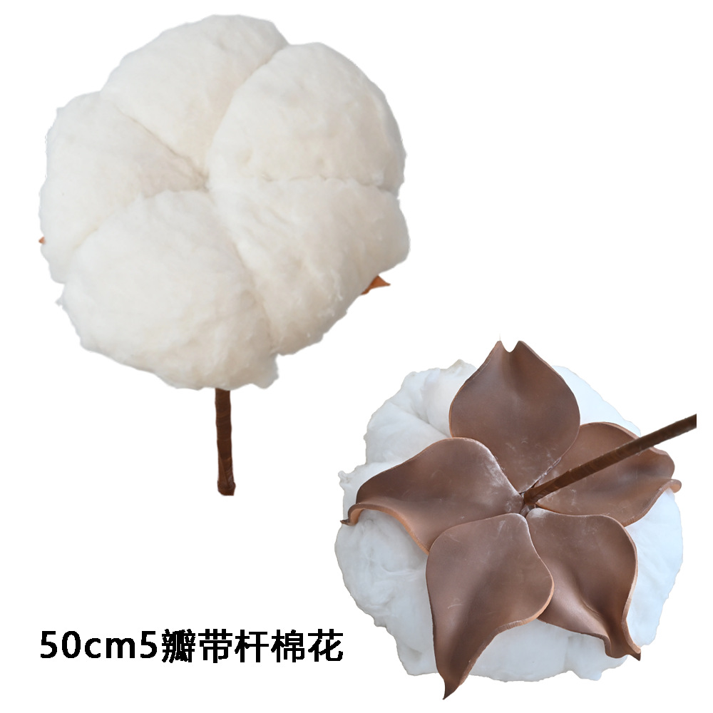 Blanco 5 pétales con palo de algodón 50cm