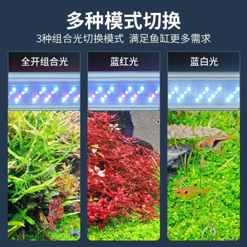 LED鱼缸灯专用爆藻灯超亮水灯鱼缸造景灯小型节能灯支架灯夹灯厂|undefined