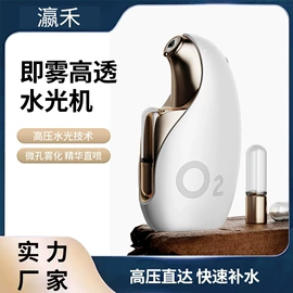 电子美容仪;美容导入仪;注氧仪