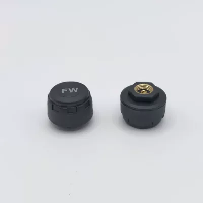 Tire pressure monitoring system, Pressure Monitoring Sensor External