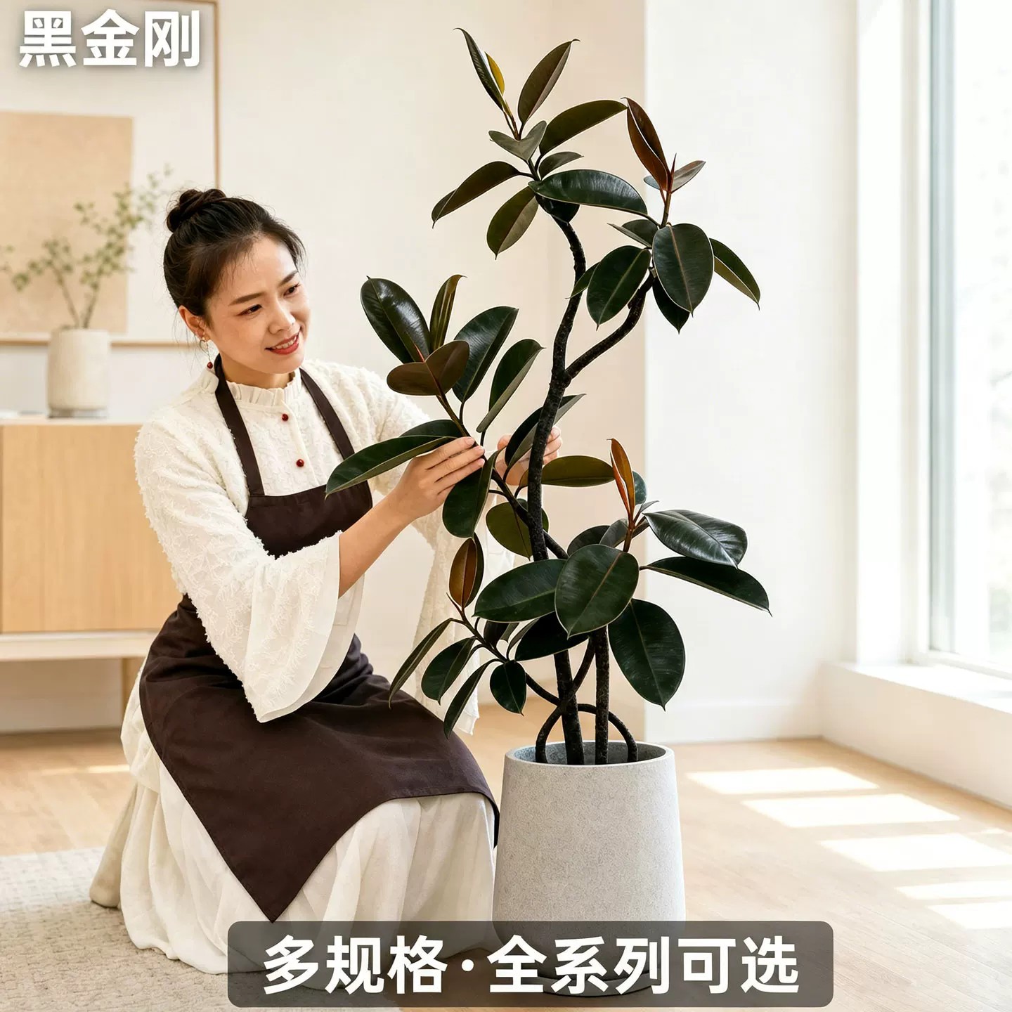 商品图