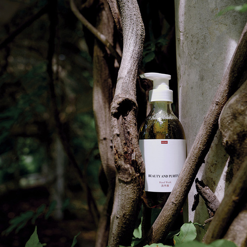 Wholesale bergamot plant fragrance hand sanitizer SPA restaurant B&B hotel club beauty salon sample room hand washing