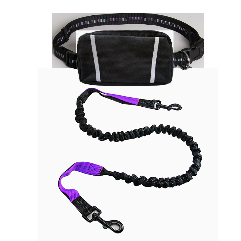 Dongguan kepai corriendo cuerda de tracción con bolsa de cintura cuerda de tracción transfronteriza para mascotas nylon reflexivo perro caminando cuerda de tracción
