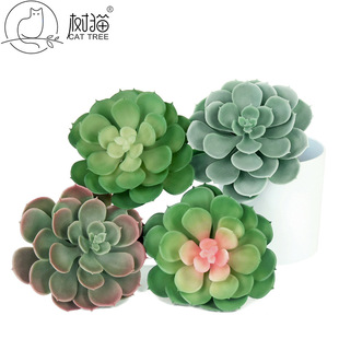 �������ֲ��14cmʯɏ���ָ����z����ɏ����Gֲ�bٶ�������