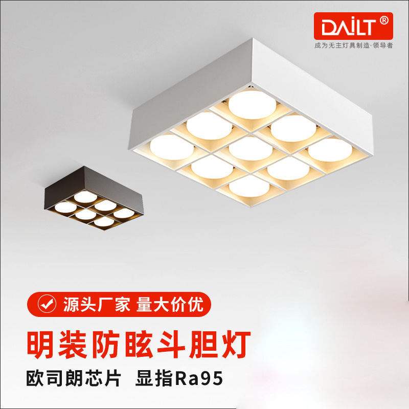 LED surface-mounted downlights for home use, dual-head, six-head, nine-head, ceiling-mounted, minimalist downlights without a main light, high color rendering.