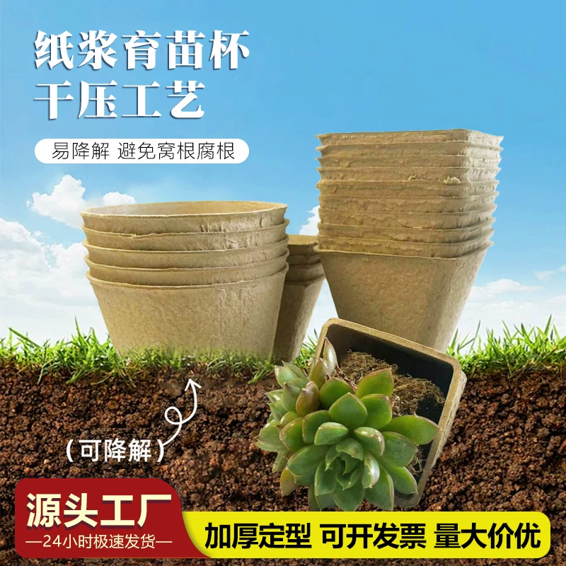 Утолщенные экологичные стаканчики для рассады из бумажной массы для домашнего садоводства, одноразовые биоразлагаемые стаканчики для выращивания суккулентов.