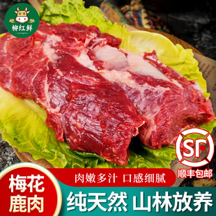 ÷��¹�� ��ֻ÷��¹����F�����r÷��¹�Ŏ�Ƥ¹�����r��Ƥ¹��