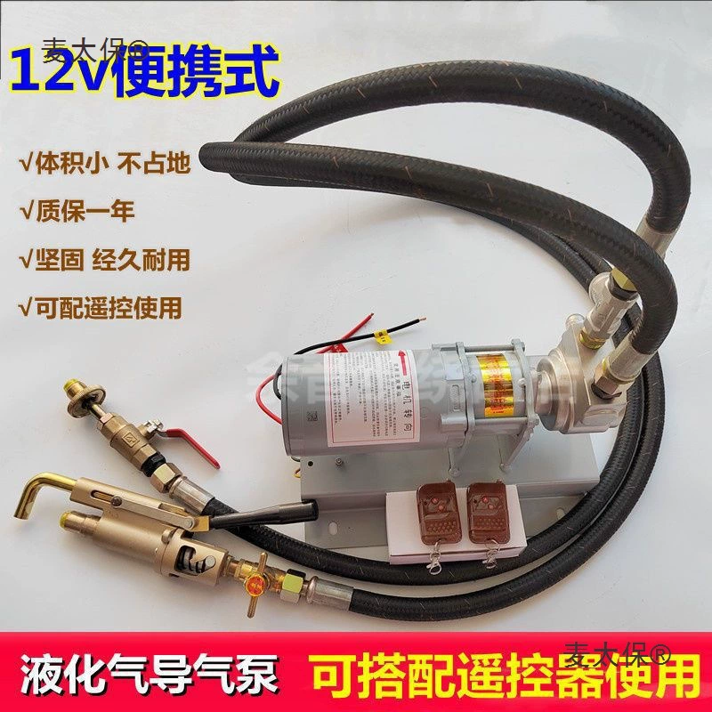 Воздушный насос для сжиженного газа, 12 В, перевернутый воздушный насос для сжиженного газа, электромобиль, пропановый насос для сжиженного газа, 12 В, 12 В Metabo