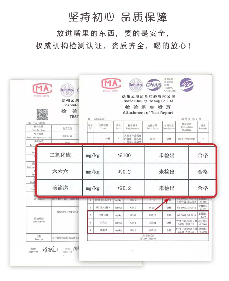 Burdock Root Tea Slices Niu Bang Gen 50g Freeze Dried Herbal Tea Cuts in use
