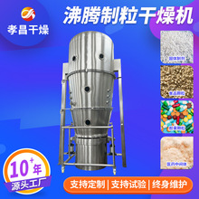生物制药颗粒沸腾制粒干燥机粉末冲剂速溶沸腾造粒机制粒机厂家