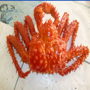 �������зʳ��ģ�͒젝չʾ���溣�rʳƷ�|���r���p���Cһ�����l