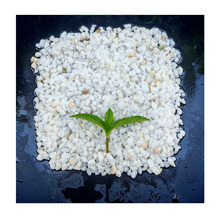 海南三亚楼盘专用 - 白色水洗砾石（外墙围墙/花基造景铺装材料）