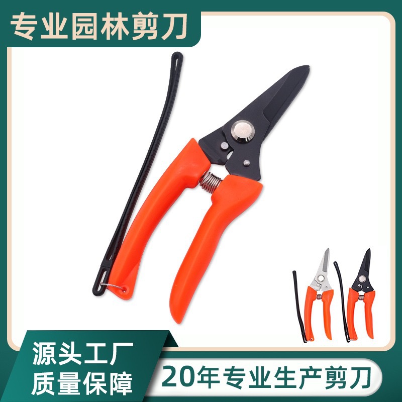 不锈钢果树修枝剪园艺园林花卉修枝剪刀家用盆栽工具盆景园艺专用