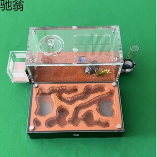 USnM款工坊生态可扩展养殖生态箱蚂蚁宠物平面蚁巢家园双空气水塔-阿里巴巴