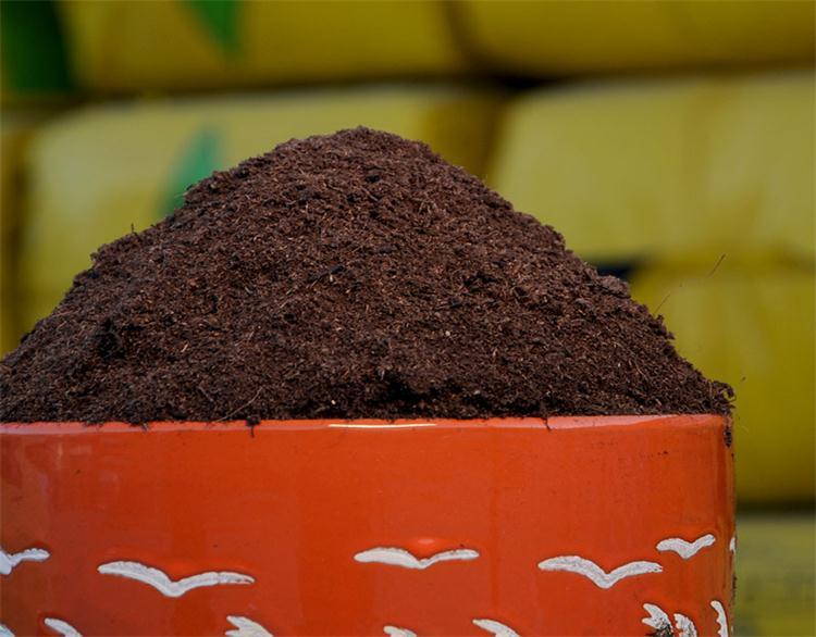 苗育成用特殊培地、温室栽培植物用、肥沃で保水性のある緑色植物用鉱質土を供給します|undefined