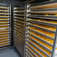 ᭇպəC zʾպɷ ՚ܻ늿 ʽO