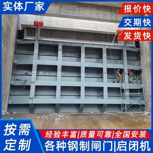 平面钢闸门定轮滑动潜孔表孔露顶大型水库防洪泄洪排涝冲沙水闸门-阿里巴巴