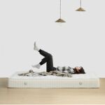 科尔沁床垫 床垫1.8m床1.5米1.2米卧室软硬两用3e弹簧椰棕带乳胶