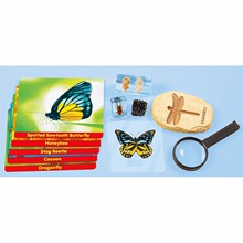 ����LakeShore�׶�԰ʵ��̾߶�ֲ��걾����걾̽���Ҷ���ģ��